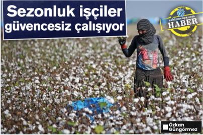 Sezonluk işçiler güvencesiz çalışıyor