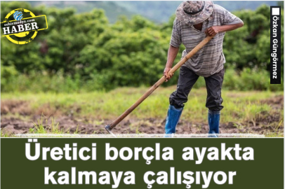Üretici borçla ayakta kalmaya çalışıyor