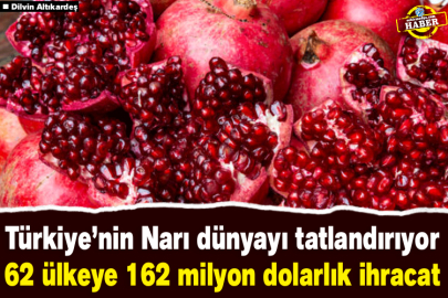 Türkiye’nin Narı dünyayı tatlandırıyor! 62 ülkeye 162 milyon dolarlık ihracat