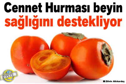 Cennet Hurması beyin sağlığını destekliyor