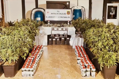 Jandarma, son iki haftadaki operasyonlarında 6 milyon uyuşturucu hap ile 270 kilogram uyuşturucu ele geçirdi