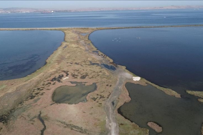 Dünya genelinde süren sulak alan kaybı, küresel ekonomiyi tehdit ediyor