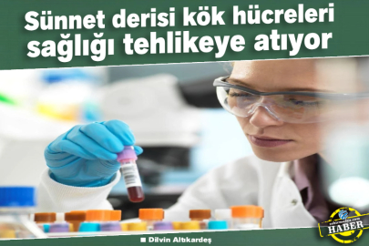 Sünnet derisi kök hücreleri sağlığı tehlikeye atıyor