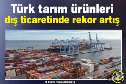Türk tarım ürünleri dış ticaretinde rekor artış