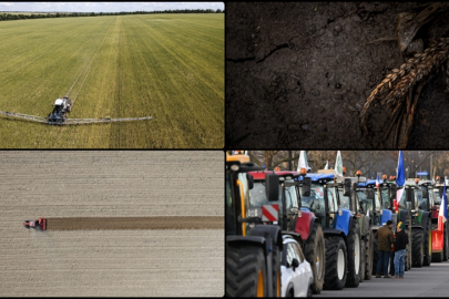 AB'de tarım topraklarının bozulmasının maliyeti yıllık 50 milyar avroya ulaşıyor