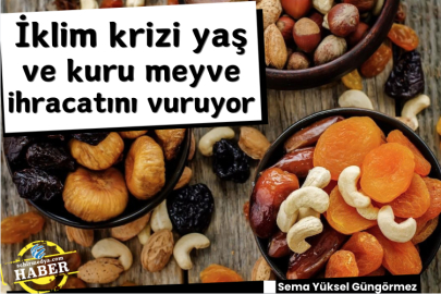 İklim krizi yaş ve kuru meyve ihracatını vuruyor