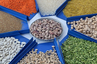 Tarım, gıda ve içecek sektöründen 2025'te 27,79 milyar dolarlık ihracat