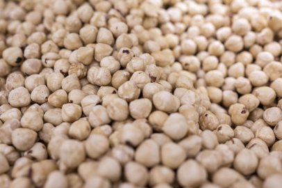 Türkiye fındık ihracatından 5 ayda yaklaşık 973 milyon dolar gelir sağladı