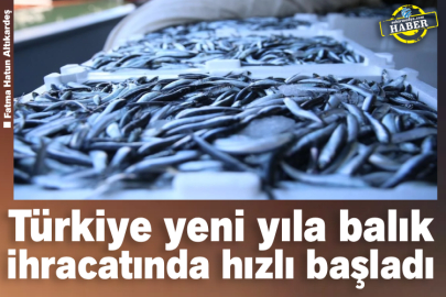 Türkiye yeni yıla balık ihracatında hızlı başladı