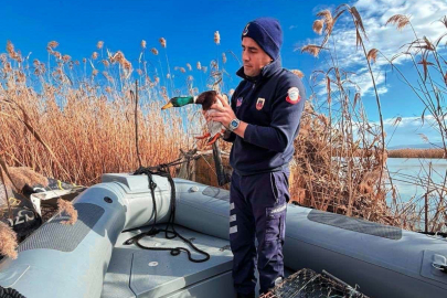 Uluabat Gölü'nde usulsüz avlananlara 431 bin TL ceza