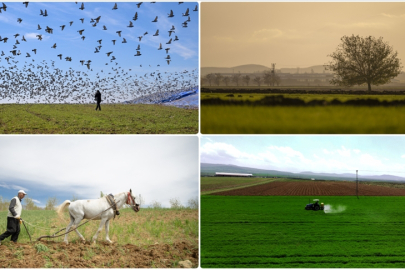 Deprem bölgesindeki kırsal kalkınma yatırımlarına 1,6 milyar lira harcandı