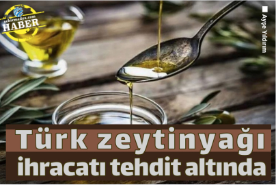 Türk zeytinyağı ihracatı tehdit altında