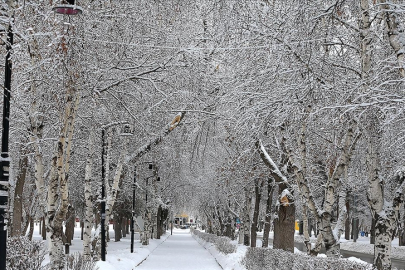 Doğuda kar yağışı etkisini sürdürüyor