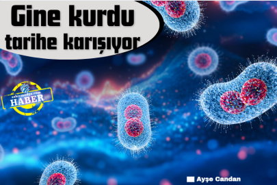 Gine kurdu tarihe karışıyor