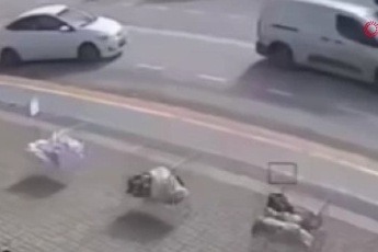 Hatalı dönüş ve yüksek hız kazaya sebep oldu