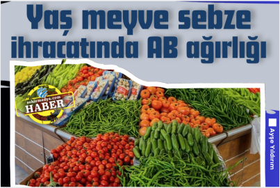 Yaş meyve sebze ihracatında AB ağırlığı