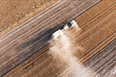 Tarım sezonunun ilk 3 ayında yağışlar uzun yıllar ortalamasına göre yüzde 20 azaldı