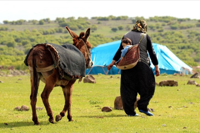 Türkiye'nin nüfusu artarken kırsalda yaşayanların nüfusu azalıyor