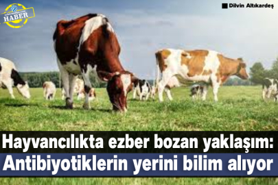 Hayvancılıkta ezber bozan yaklaşım: Antibiyotiklerin yerini bilim alıyor