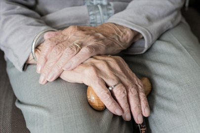 Türkiye'de 100 yaşına merdiven dayayan 244 bine yakın "çınar" yaşıyor