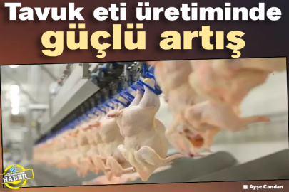Tavuk eti üretiminde güçlü artış