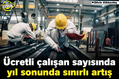 Ücretli çalışan sayısında yıl sonunda sınırlı artış