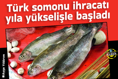 Türk somonu ihracatı yıla yükselişle başladı