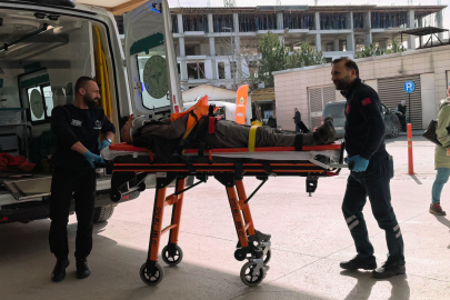 Ceviz ağacından düşen yaşlı adam ağır yaralandı