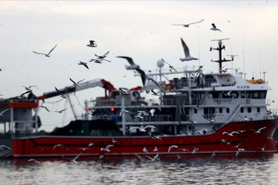 Hamsinin izini süren Karadenizli balıkçılar rotalarını İğneada'ya çevirdi