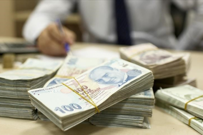 Hazine destekli tarım ve esnaf kredilerine düzenleme