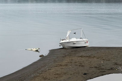 İznik Gölü'nde kuraklık alarmı: Yağışlara rağmen çekilme sürüyor