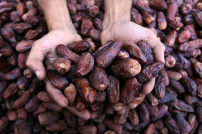 Ramazanın yıldızı hurma için 5 yılda yaklaşık 279 bin ton ithalat