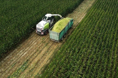 Tarım ÜFE ocakta aylık bazda yüzde 8,46 arttı