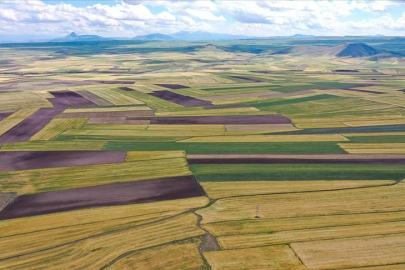 Arsa ve tarla satışları 2025'te 1,6 milyonu aştı