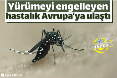 Yürümeyi engelleyen hastalık Avrupa’ya ulaştı