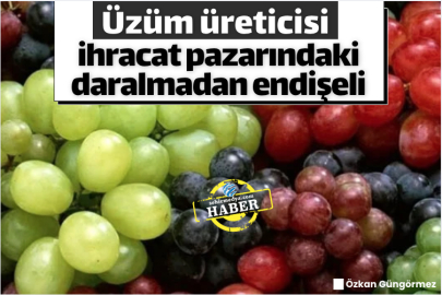 Üzüm üreticisi ihracat pazarındaki daralmadan endişeli