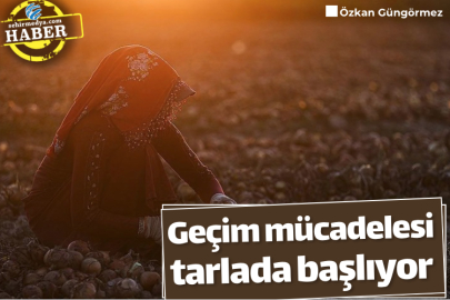 Geçim mücadelesi tarlada başlıyor