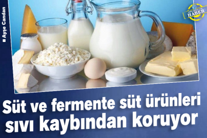 Süt ve fermente süt ürünleri sıvı kaybından koruyor