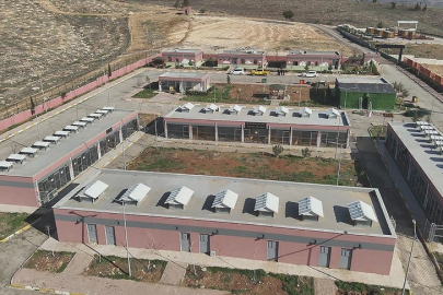 Şanlıurfa'da 27 bin 960 sahipsiz hayvan toplandı