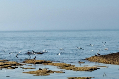 Kazakistan, su seviyesi düşen Hazar Denizi için 2 milyon dolardan fazla kaynak ayırdı