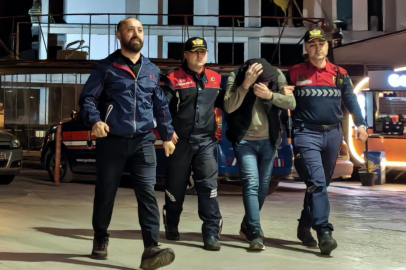 Jandarmadan uyuşturucu operasyonu: Kenevir tarlasını eve taşımışlar