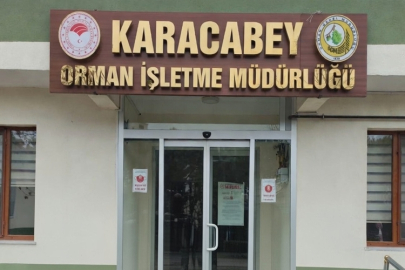 Karacabey Orman İşletme Müdürlüğü tarafından Sanat Yapısı Yapım İşi