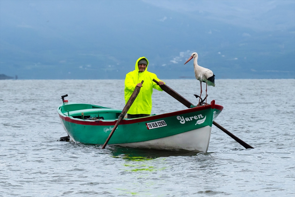 Adem amca Yaren Leylek 15. kez kavuştu