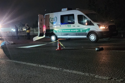 Aracın çarptığı yaya hayatını kaybetti