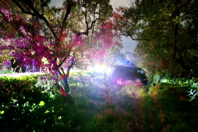 Kazadan kaçan sürücü zeytinliğe daldı