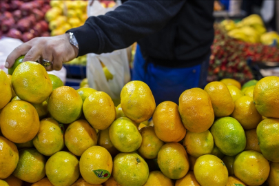 Tarım, gıda ve içecek sektöründen yılın ilk ayında 2,4 milyar dolarlık ihracat