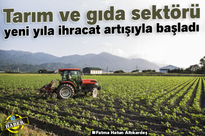 Tarım ve gıda sektörü yeni yıla ihracat artışıyla başladı