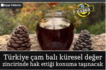 Türkiye çam balı küresel değer zincirinde hak ettiği konuma taşınacak