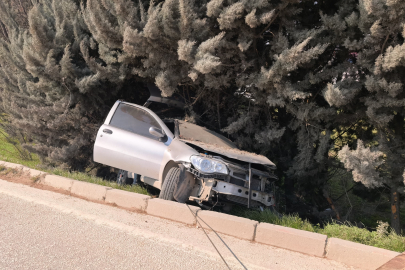 Bursa'da kontrolden çıkan otomobil ağaçlık alana uçtu, 1 yaralandı