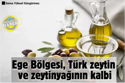 Ege Bölgesi, Türk zeytin ve zeytinyağının kalbi